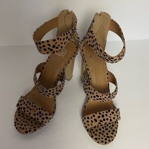 Delicious Zip Heels Cheetah